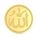 Joyalukkas 22K 916 Purity Gold Coin 