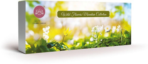 jpsr prabhu shriram wild flower mountain collection low smoke luxury incense sticks nature inspired fragrance