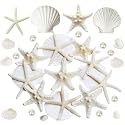 JQAQJU 16PCS Starfish and Scallop Shells for Crafts 3"-4" with Pearls