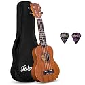 Juarez JRZ21UK 21" Soprano Ukulele Kit, AQUILA Strings, Sapele Body, Rosewood Fingerboard, Matte Finish, with Bag and Picks, Natural