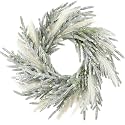 Juexica 19.7" Lighted Christmas Wreaths for Front Door Flocked Norfolk
