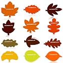 JULBEAR 60 Pcs Thanksgiving Leaf Place Cards Fall Table Decor Thankful Card