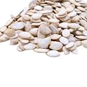 Gerbs Lightly Sea Salted Jumbo Whole Pumpkin Seeds 4 lbs.