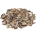 Jumbo Unsalted Sunflower Seeds In Shell by Gerbs – 2 LBS - Top 14 Food Allergen Free & NON GMO - Premium Dry Roasted Whole Sunflower Seed