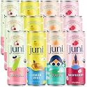 Juni Sparkling Adaptogen Drink, Mood and Focus, Variety 12 Pack