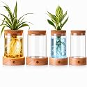 Junkin 4 Pack Plant Propagation Station with LED Light, 7 Colors Adjustable