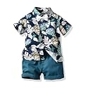 JunNeng Toddler Baby Boy Shorts Sets Hawaiian Outfits,Summmer Hawaiian Shirt+ Elastic Shorts Vacation Clothes
