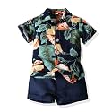 JunNeng Toddler Baby Boy Shorts Sets Hawaiian Outfits,Summmer Hawaiian Shirt+ Elastic Shorts Vacation Clothes