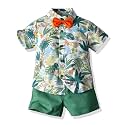 JunNeng Toddler Baby Boy Shorts Sets Hawaiian Outfits,Summmer Hawaiian Shirt+ Elastic Shorts Vacation Clothes