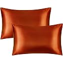 JUPON Standard Silk Pillow Cover Set of 2 - Purple Silk Pillow Cases for Hair and Skin 18X28 inches, Mulberry Silk with Envelope Closure