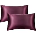 JUPON Standard Silk Pillow Cover Set of 2 - Violet Silk Pillow Cases for Hair and Skin 20x30 inches, Mulberry Silk with Envelope Closure