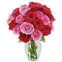 KaBloom-18 Red&amp;Pink Rose Bouquet, Flowers for Valentine, Mother's Day