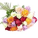KaBloom-24 Assorted Rose Bouquet,Flowers for Valentine, Mother's Day