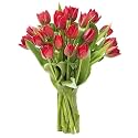 KaBloom-10 Red Tulip Bouquet,Flowers for Valentine, Mother's Day