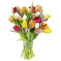 KaBloom-20 Assorted Tulip Bouquet,Flowers for Valentine, Mother's Day
