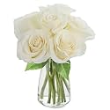 KaBloom PRIME NEXT DAY DELIVERY - Bouquet of 6 Fresh cut White Roses with Vase .Gift for Birthday, Sympathy, Anniversary, Get Well, Thank You, Valentine, Mother’s Day Fresh Flowers