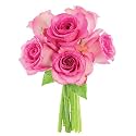KaBloom PRIME NEXT DAY DELIVERY - Fall Collection - Sweet Pink Bouquet of 6 Fresh Cut Pink Roses (Farm-Fresh, Long-Stem).Gift for Birthday, Sympathy, Valentine, Mother’s Day Fresh Flowers