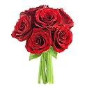 KaBloom PRIME NEXT DAY DELIVERY - Fall Collection - The Romantic Classic Red Rose Bouquet of 6 Fresh Cut Red Roses (Farm-Fresh, Long-Stem). Gift for Birthday,Valentine, Mother’s Day Fresh Flowers