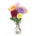 KaBloom PRIME NEXT DAY DELIVERY - Rainbow Roses (Half Dozen) - With Vase .Gift for Birthday, Sympathy, Anniversary, Get Well, Thank You, Valentine, Mother’s Day Fresh Flowers