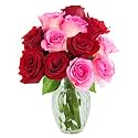 KaBloom PRIME NEXT DAY DELIVERY - Romantic Red and pink Rose Bouquet of 6 Red and 6 Pink Roses with Vase.Gift for Birthday, Sympathy, Anniversary, Thank You, Valentine, Mother’s Day Fresh Flowers