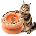 KADTC Cat Puzzle Toy Slow Feeder Bowl for Fast Eater, Kitten Enrichment Toy
