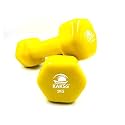 Kakss Cast Iron Vinyl Coated Dumbbells (1+1 =2KG Red)