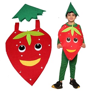 Kaku Fancy Dresses Fruits Costume for Boys