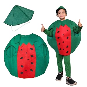 Kaku Fancy Dresses Fruits Costume for Boys