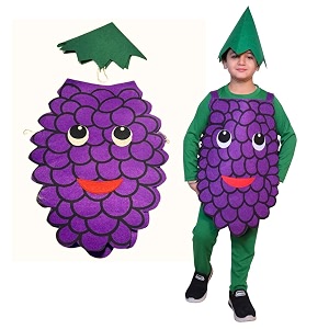 Kaku Fancy Dresses Fruits Costume for Boys