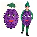Kaku Fancy Dresses Fruits Costume for Boys