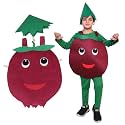 Kaku Fancy Dresses Fruits Costume for Boys