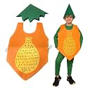 Kaku Fancy Dresses Fruits Costume for Boys