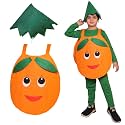 Kaku Fancy Dresses Fruits Costume for Boys