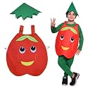 Kaku Fancy Dresses Fruits Costume for Boys