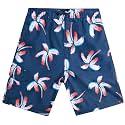 Kanu Surf Boys' Terrapin Turtle Quick Dry Beach Board Shorts Swim Trunk