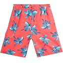 Kanu Surf Boys' Terrapin Turtle Quick Dry Beach Board Shorts Swim Trunk