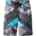 Kanu Surf Boys' Toddler Troy Stripe Swim Trunks
