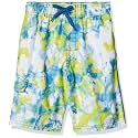 Kanu Surf Boys' Toddler Troy Stripe Swim Trunks