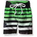 Kanu Surf Boys' Toddler Troy Stripe Swim Trunks
