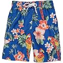 Kanu Surf Boys' Toddler Troy Stripe Swim Trunks