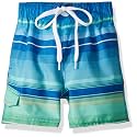 Kanu Surf Boys' Toddler Troy Stripe Swim Trunks