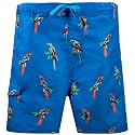 Kanu Surf Boys' Victor Stripe Quick Dry Beach Board Shorts Swim Trunk