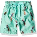 Kanu Surf Boys' Victor Stripe Quick Dry Beach Board Shorts Swim Trunk