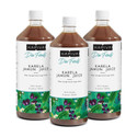 Kapiva Karela Jamun Juice 1L | Natural Juice made from Fresh Karela & Jamun Seeds