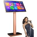 Karaoke Machine Karaoke Player, capacitive Touch Screen for Home, Bar(19.5inch,3TB)