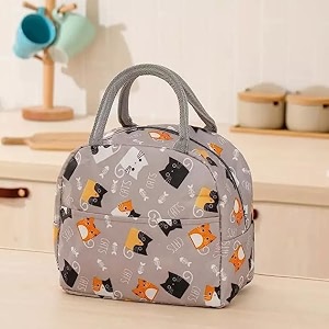kardiff insulated lunch bag for kids women small lunch leakproof bag for office work school picnic beach office outdoor picnic bag beige cats