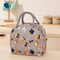KARDIFF Insulated Lunch Bag for Kids, Women Small Lunch Leakproof Bag for Office, Work, School, Picnic Beach, Office, Outdoor Picnic Bag (Beige Cats)