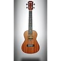 Kaspar K23 Ukulele with Nylon String
