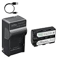 Kastar 1-Pack Battery and AC &amp; USB-C Charger, Compatible with Sony NP-FM30 NP-FM40 NP-FM50 NP-FM55H NP-FM60 NP-QM50 and Sony CCD-TRV108 218 250 328 DCR-TRV22 33 40 60 70 80 PC100 PC120 DSC-F707 F717