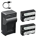 Kastar 2-Pack Battery and AC & USB-C Charger, Compatible with Sony NP-FM30 NP-FM40 NP-FM50 NP-FM55H NP-FM60 NP-QM50 and Sony CCD-TRV108 218 250 328 DCR-TRV22 33 40 60 70 80 PC100 PC120 DSC-F707 F717